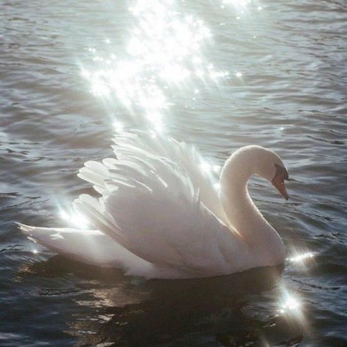  دست بردار از این بازیات به قلبت بگو باهام راه بیاد