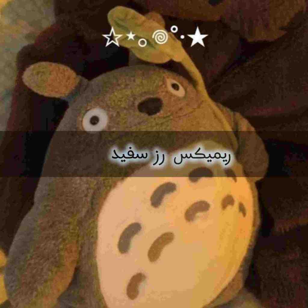 محسن یگانه و محسن چاوشی و معین و سیاوش قمیشی و شادمهر رز سفید