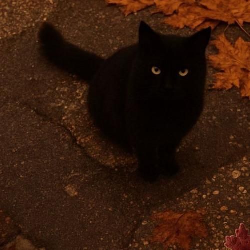 خیابون یه طرفه بود دورم زدی حیف ولی تهش