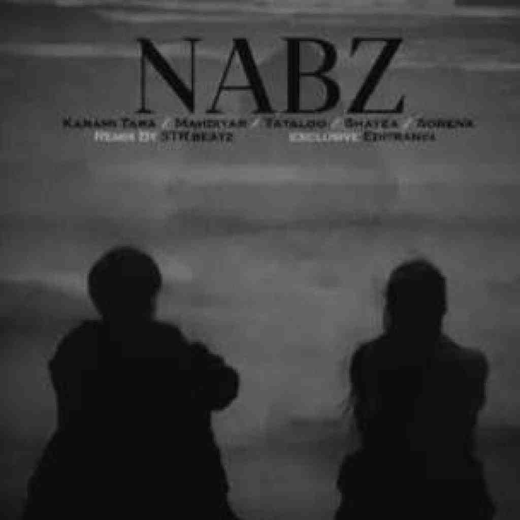 رضا کرمی تارا و مهدیار و تتلو و سورنا نبض