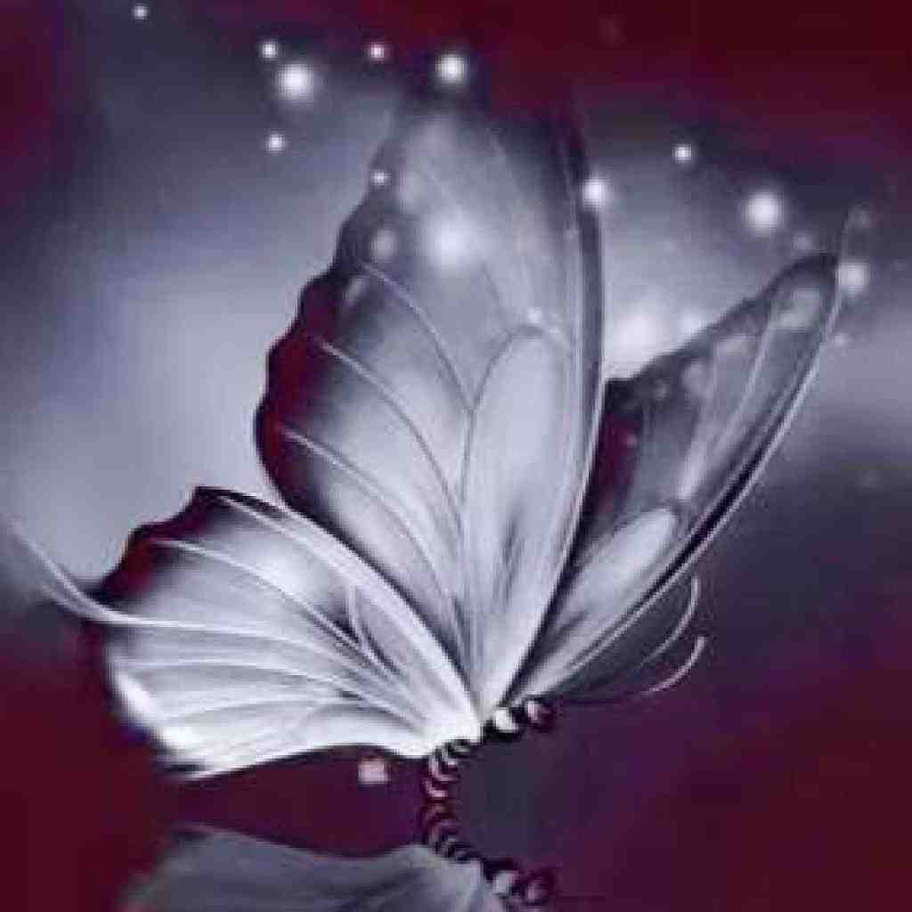 سورنا و محمد عارض و بهرام پروانه