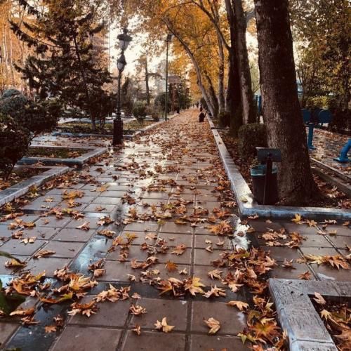 دارم بهش حس پیدا میکنم چیزی نمونده بغلش کنم