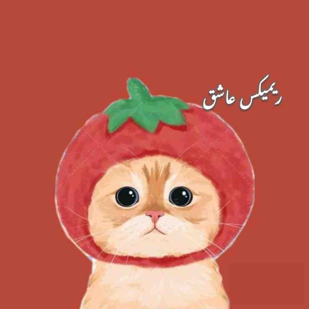 امیر تتلو و حامیم و سیاوش قمیشی و فرزاد فرزین و آصف آریا عاشق