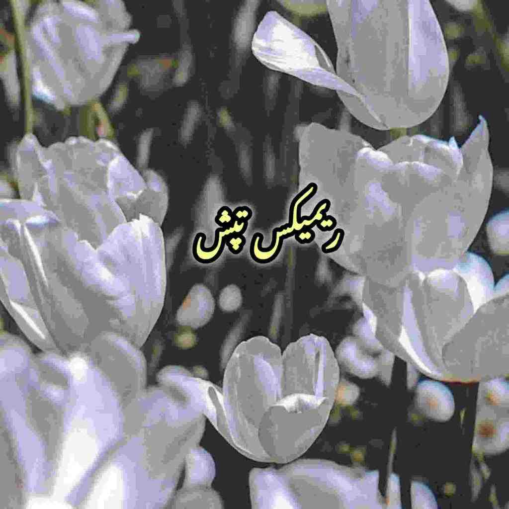 نوش‌آفرین و سیاوش قمیشی و ابی و هایده تپش