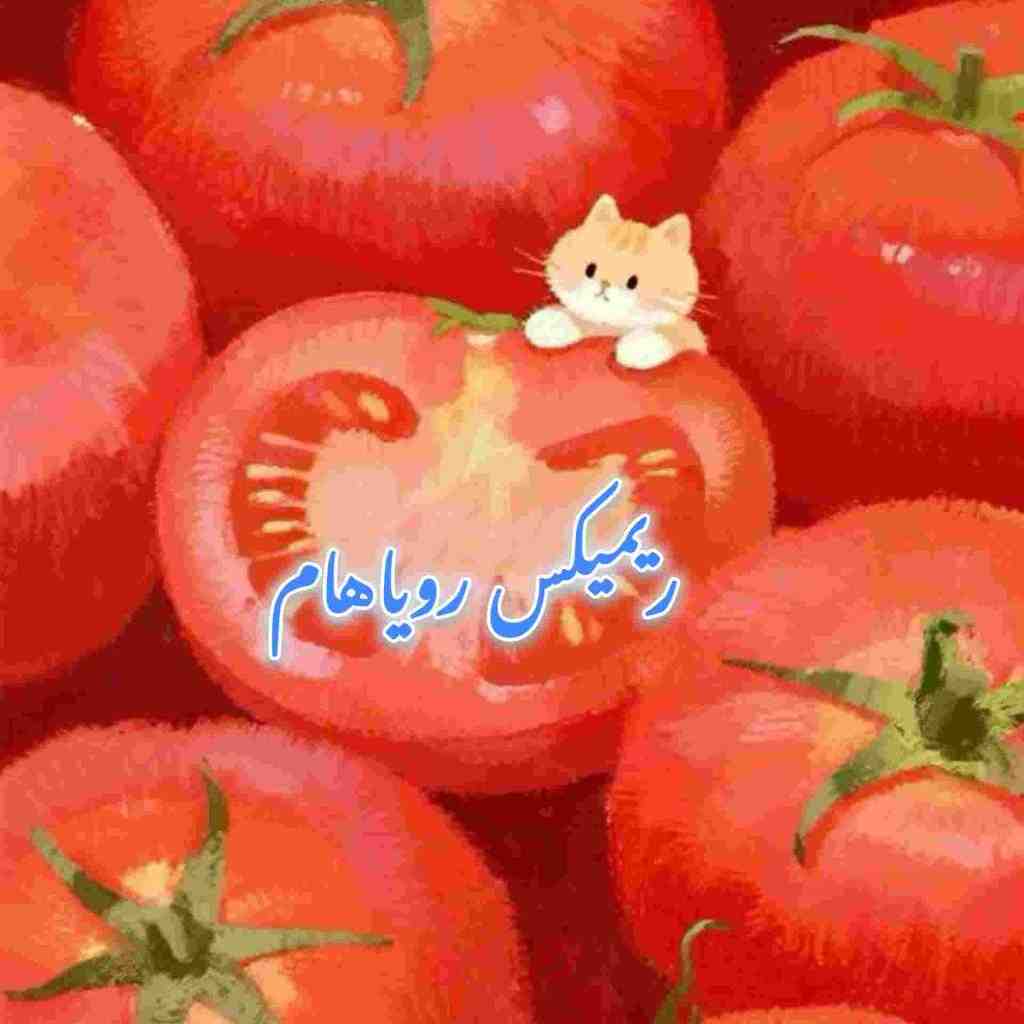 محسن چاوشی و امیر تتلو و ابی و سیاوش قمیشی و رضا بهرام رویا‌هام