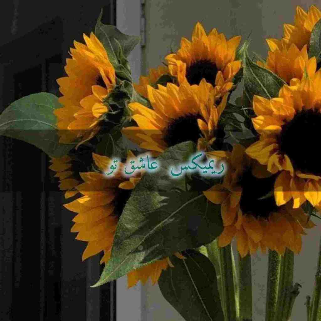 دانلود ریمیکس عاشق تو از ابی و گوگوش و علی یاسینی و آصف آریا و معین و امیر تتلو دانلود ریمیکس عاشق تو از ابی و گوگوش و علی یاسینی و آصف آریا و معین و امیر تتلو