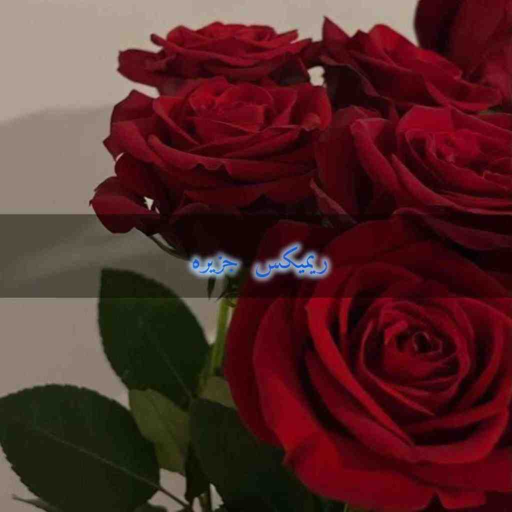 دانلود ریمیکس جزیره از سیاوش قمیشی و سوگندو ابی و مهدی جهانی و رضا بهرام