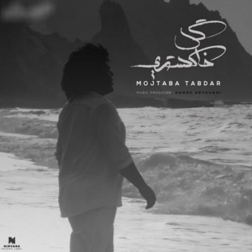 مجتبی تابدار گل خاکستری