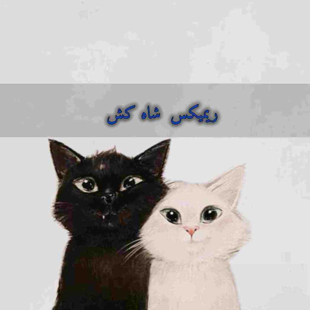 رامین کرمی و شادمهر عقیلی و احمد سلوو مهیاد و امیر تتلو شاه کش