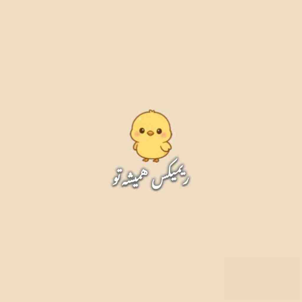 شایع و مسلک و ناجی و علی سورنا همیشه تو