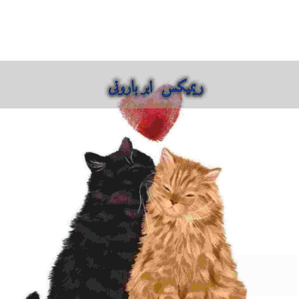 محمد محرمی و امیر تتلو و هیپهاپولوژیست و علی سورنا ابر بارونی