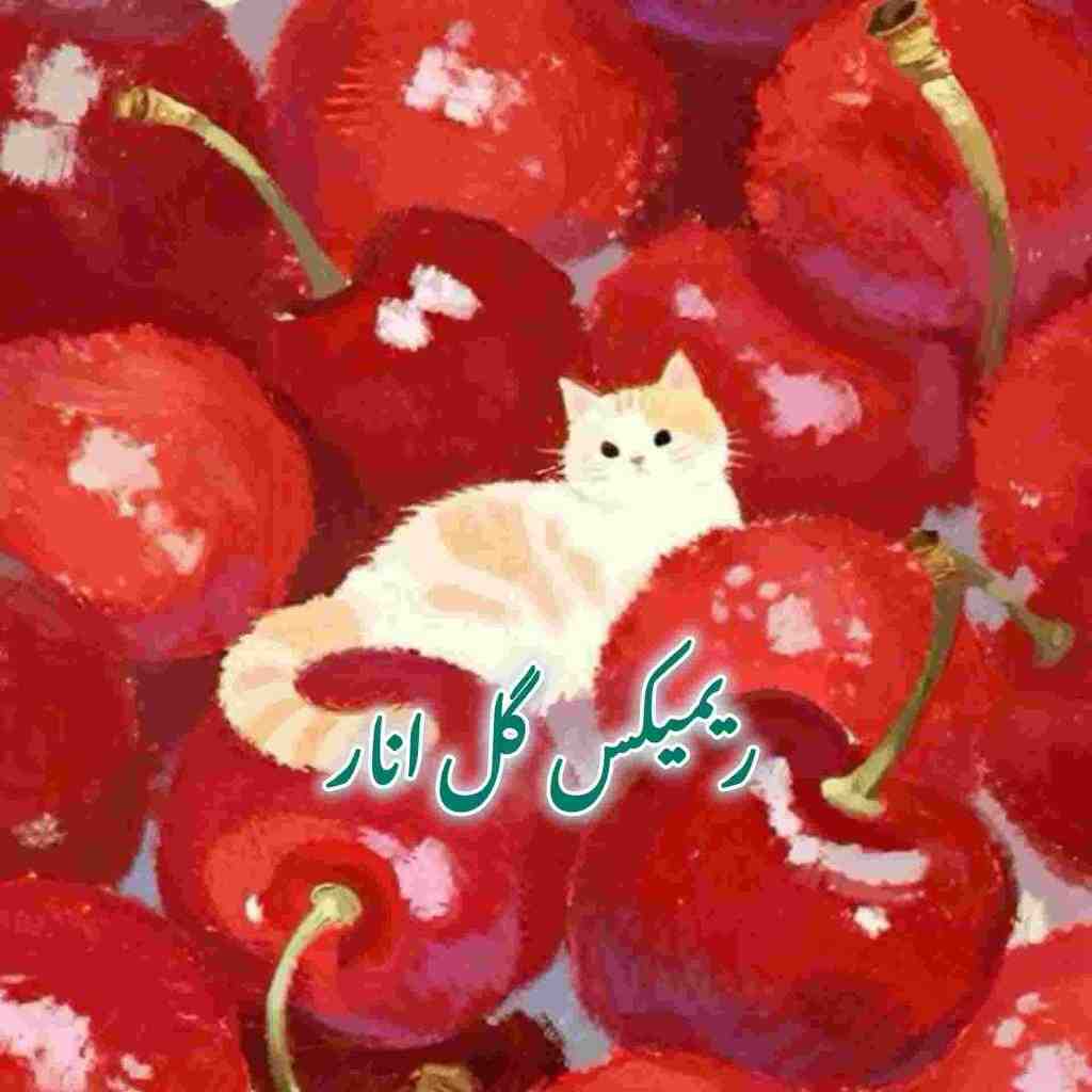 شهرام شبپره و احمد آزاد و ابی و هایده گل انار