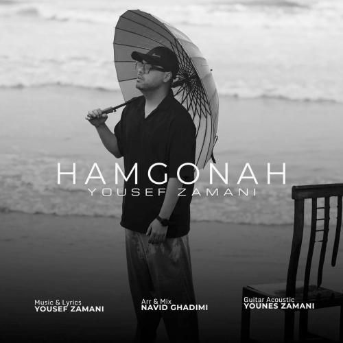 دانلود آهنگ هم گناه از یوسف زمانی