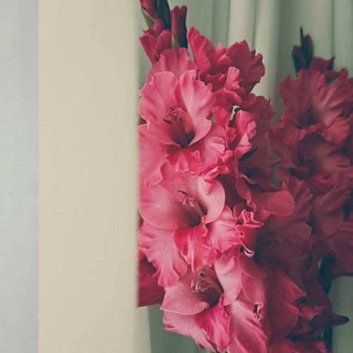 دانلود آهنگ منی که تخس بودم نمی‌گرفت گریم الان یسره بارونیه