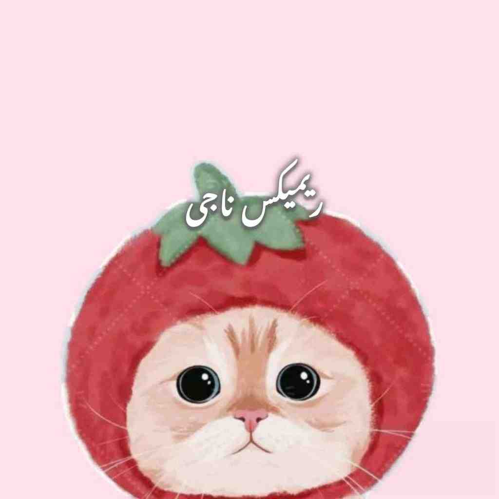 دانلود ریمیکس ناجی از معین و سیاوش قمیشی و ابی و ویگن و شهرام شب‌پره