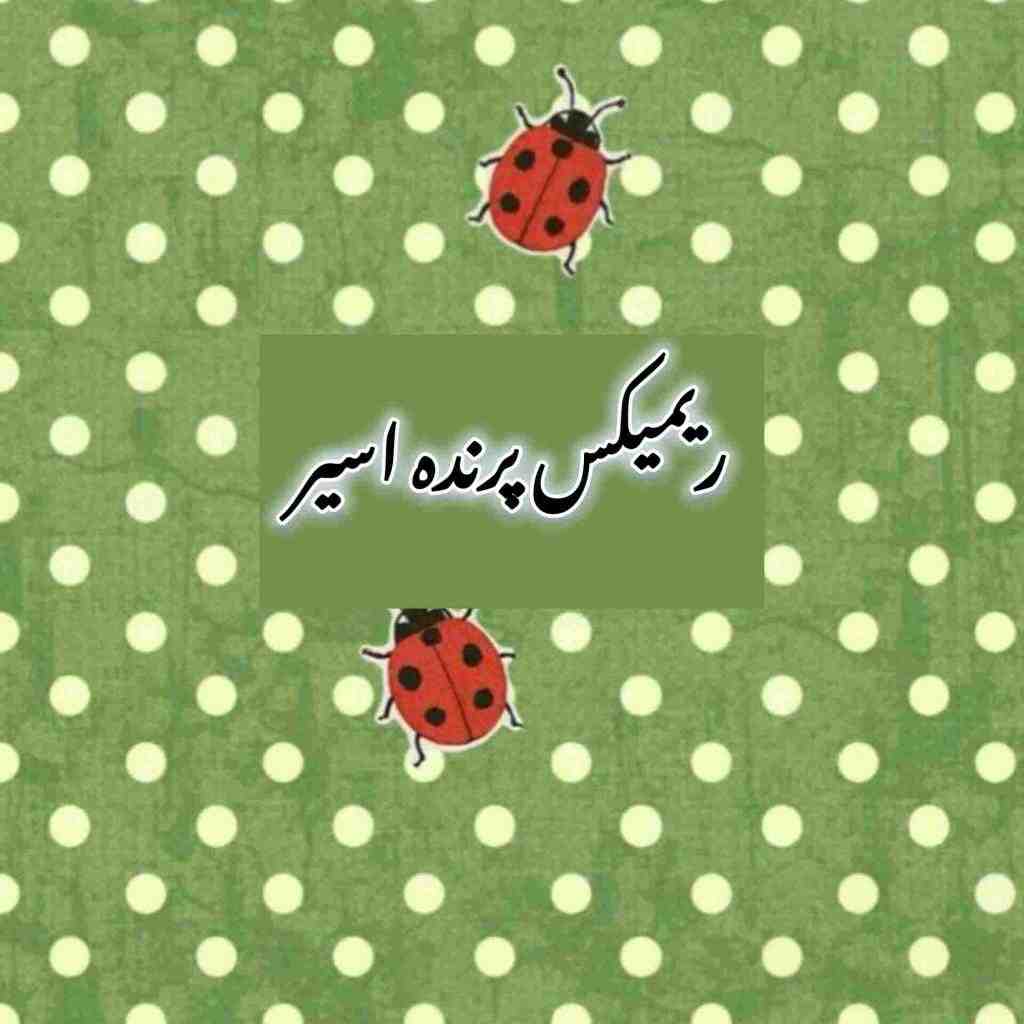 دانلود ریمیکس پرنده اسیر از شادمهر عقیلی و سون بند و علی یاسینی و مجید رضوی و مهراد جم