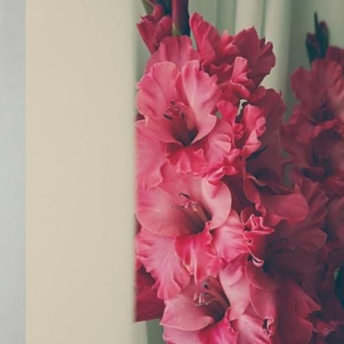 سنا برزنجه سراب