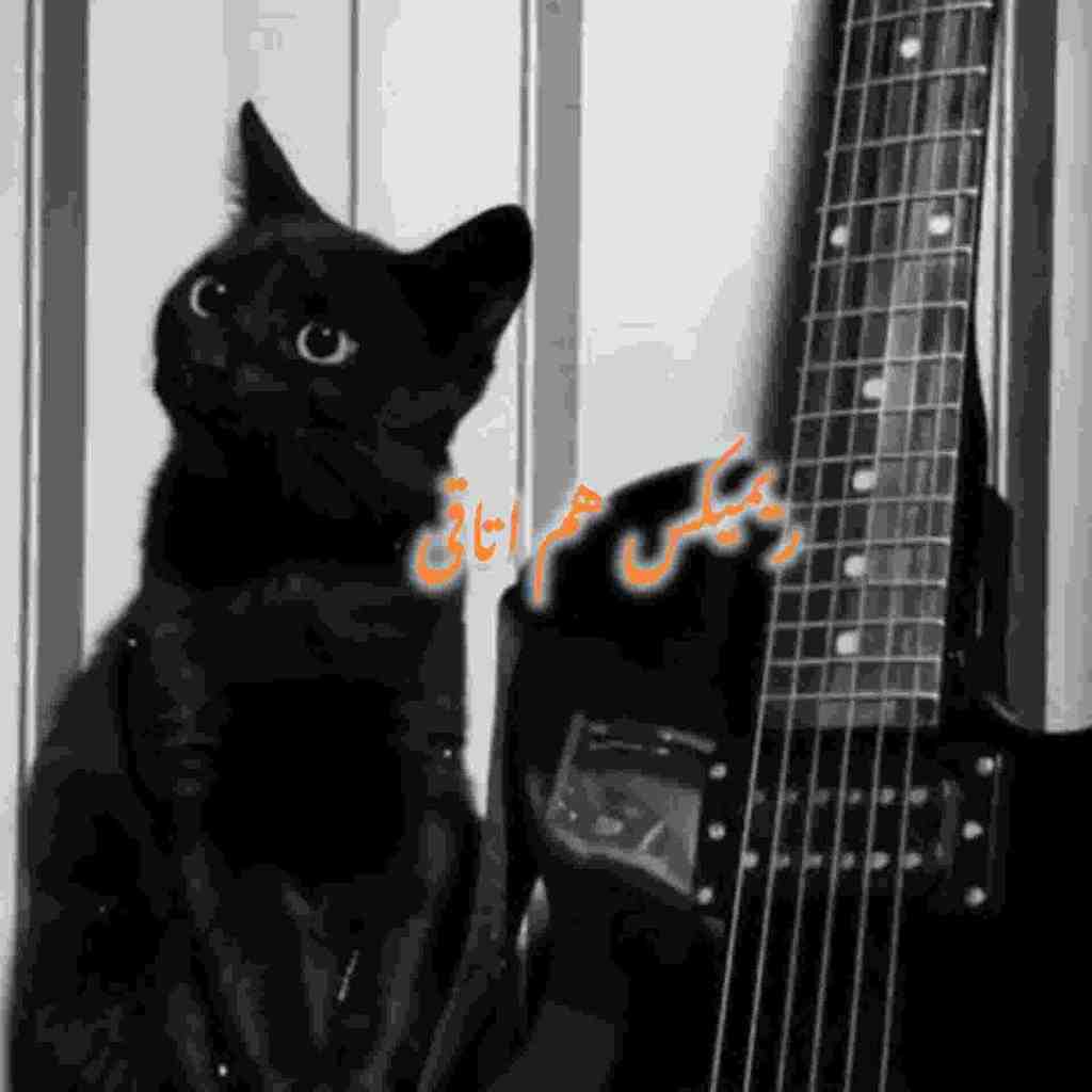 هایده و محسن چاوشی و مرتضی پاشایی هم اتاقی