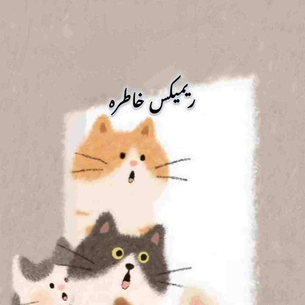 ابی و معین و حامیم و شادمهر و یاس و شایع خاطره