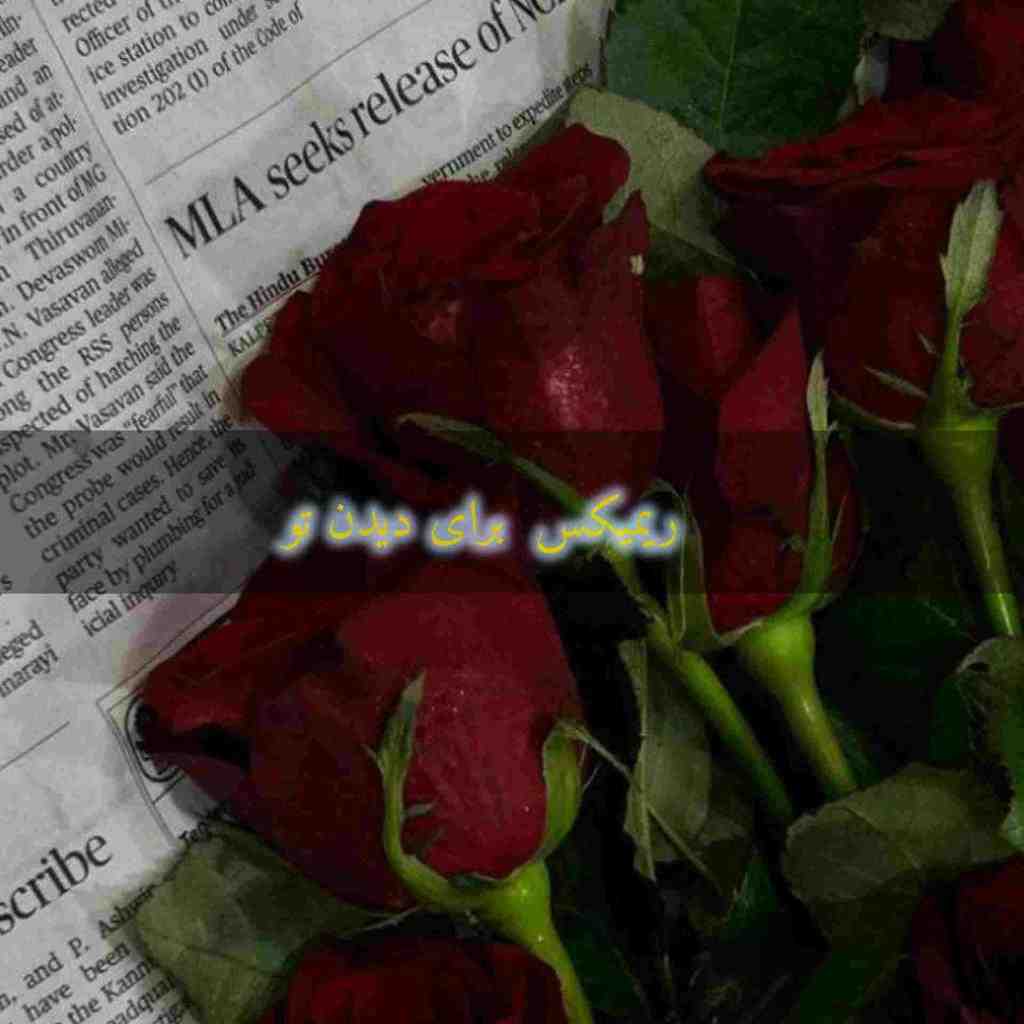 دانلود ریمیکس برای دیدن تو از روزبه بمانی و آصف آریا و هنگامه و علی زندوکیلی و امیر تتلو