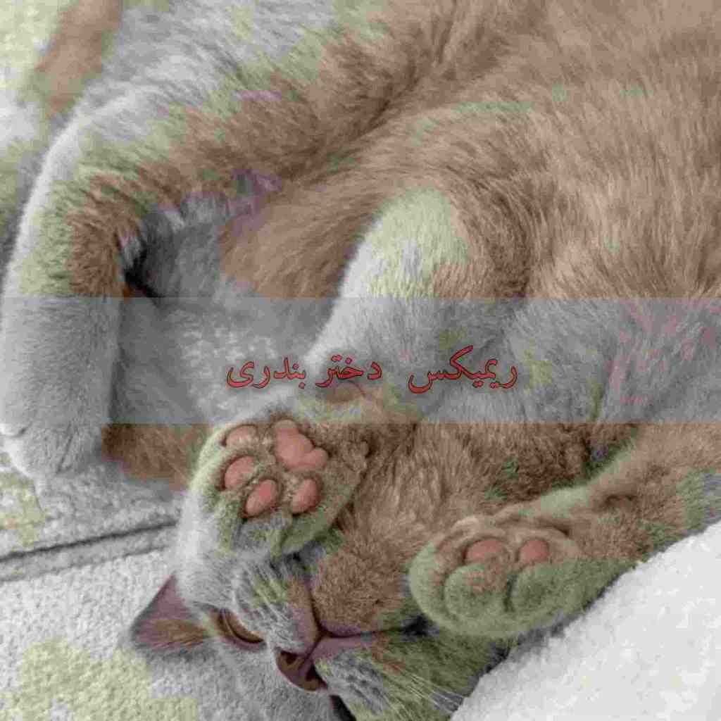 دانلود ریمیکس دختر بندری از عرفان طهماسبی و آغاسی و کوروس و سندی و حسن شماعی‌زاده