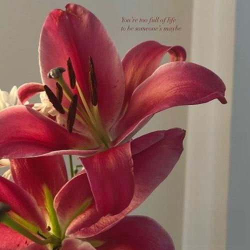 تو من را نشاندی کنار نگاهت به خنده تو گفتی