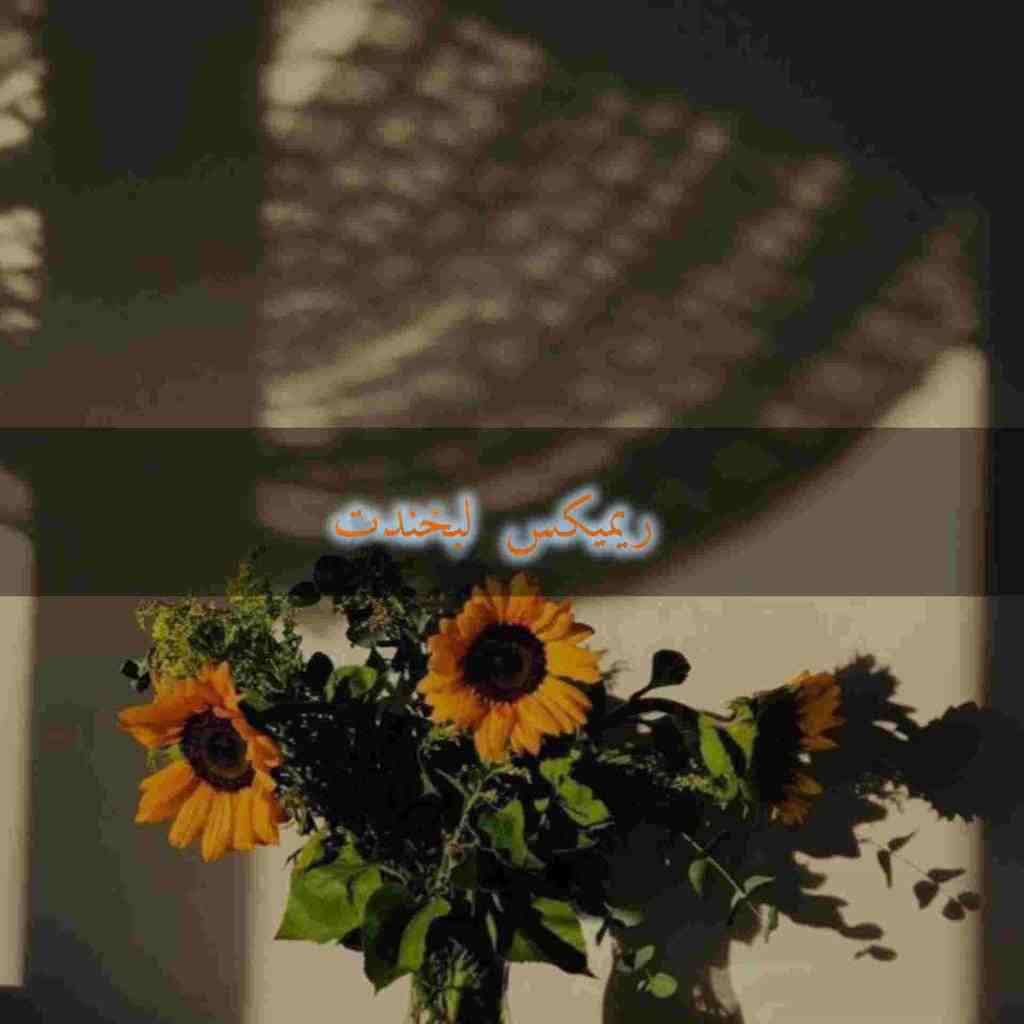 دانلود ریمیکس لبخندت از معین و شهره صولتی و شهرام شبپره و لیلا فروهر و هایده دانلود ریمیکس لبخندت از معین و شهره صولتی و شهرام شبپره و لیلا فروهر و هایده