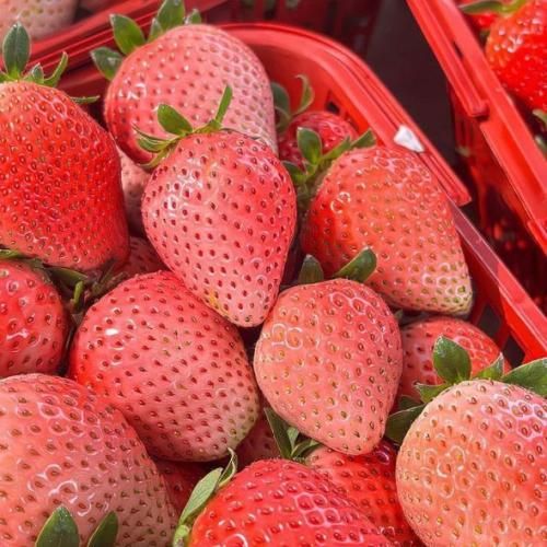 دانلود آهنگ هیچی نبودی من تورو ساختم نگو دختری بودم