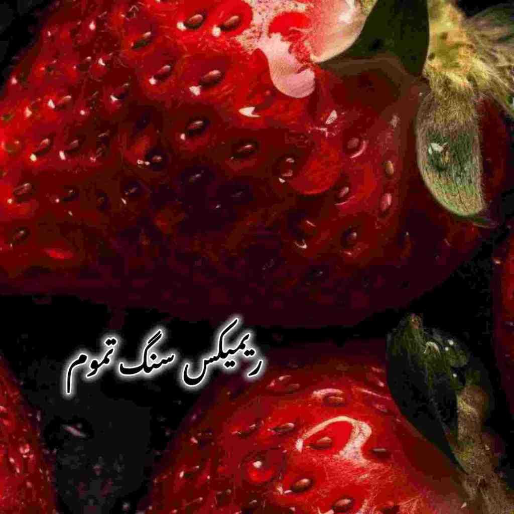 مسعود صادقلو و آرمین زارعی و مهدی احمدوند و عرشیاس و بهنام بانی سنگ تموم