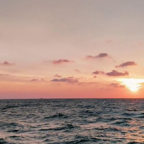 دانلود آهنگ دل من یکم گله رو کم کن بچینم پلنو کن