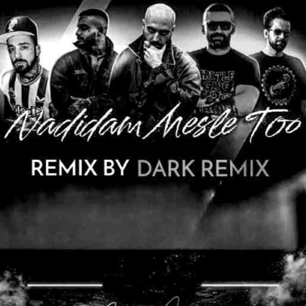 امیر خلوت و هیپهاپولوژیست و ناجی و مهیاد و ایسین و شاهی  ندیدم مثل تو