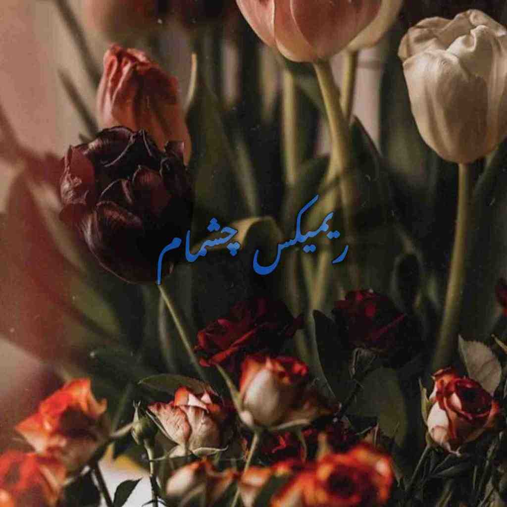 معین و ابی و مجید رضوی و نوان و حسن شماعیزاد چشمام