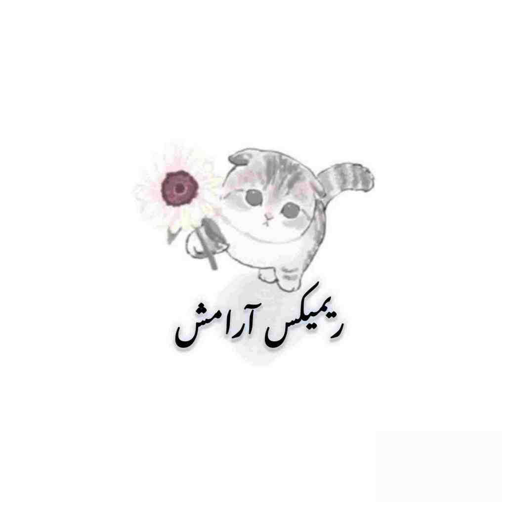 بهنام صفوی و مسعود صادقلو و حامیم و آرش Ap  محسن چاوشی و آرامش