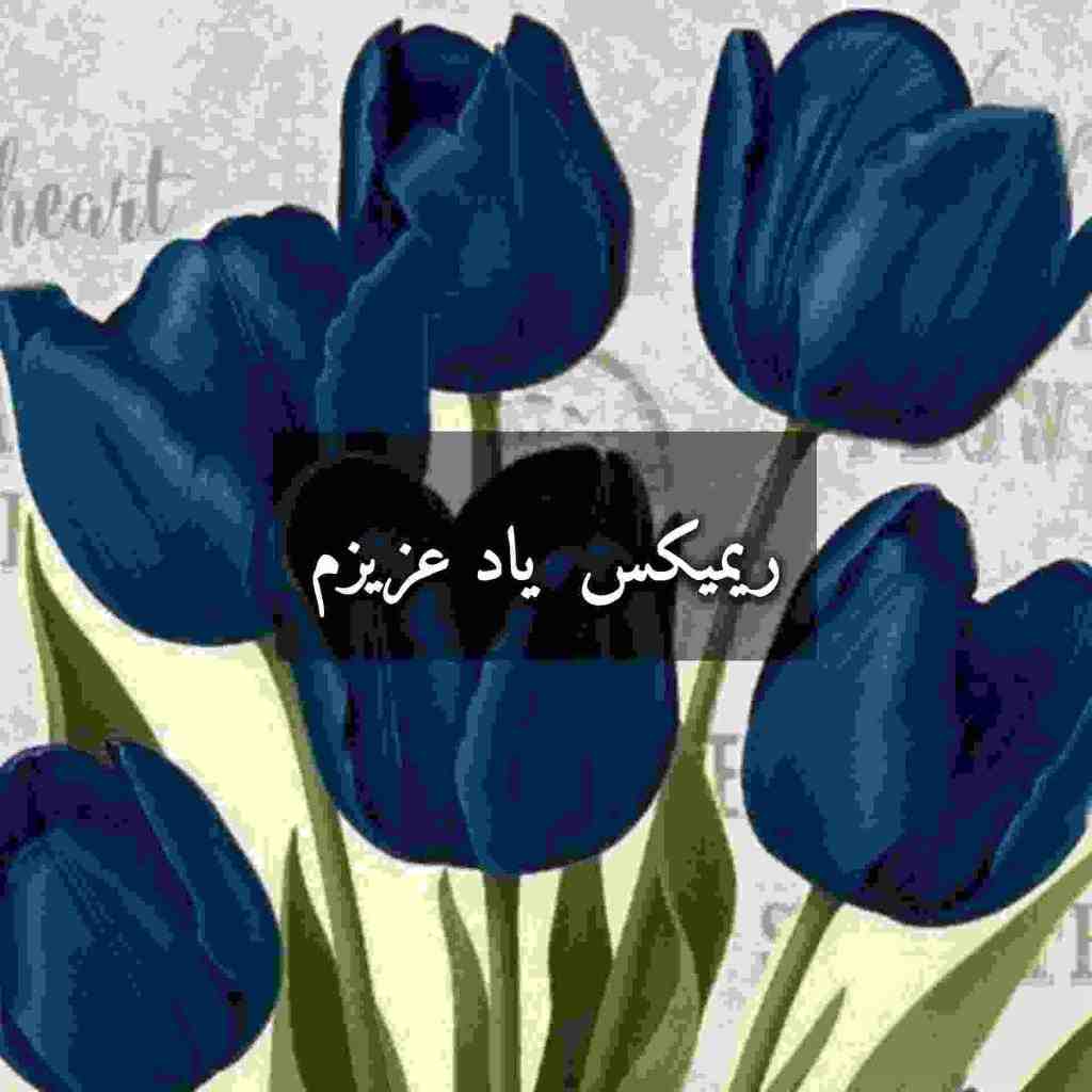 معین و  شادمهر عقیلی و سیاوش قمیشی یاد عزیزم