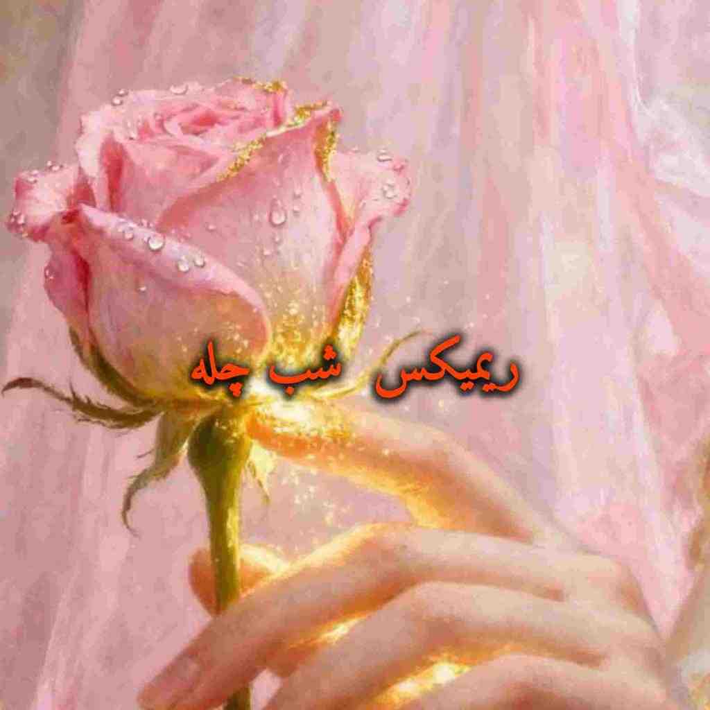 معین و منوچهر سخایی و ناصر زینعلی و هایده و رضا بهرام شب چله