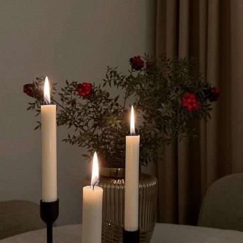  بگو حال میکنی یا نه میسپاری دل مارو