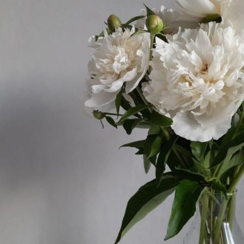  نکشیدیم زیر و رو زندگیمو تف میکنم تو روی