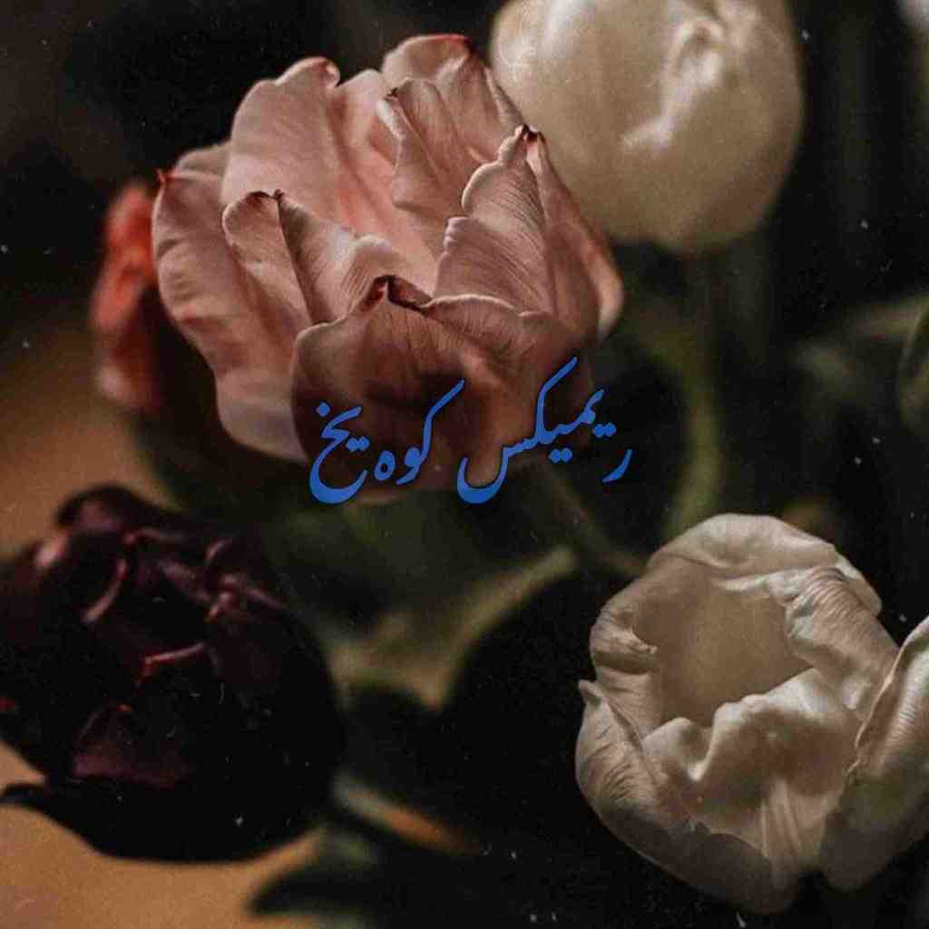 ابی و سیاوش قمیشی و معین و شهره و داریوش کوه یخ