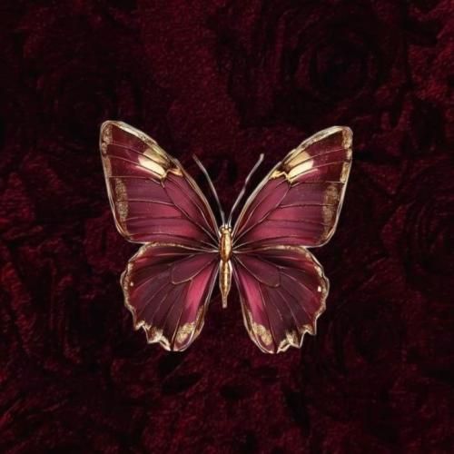  امشو نم نم بارون شراب بریز بشم داغون