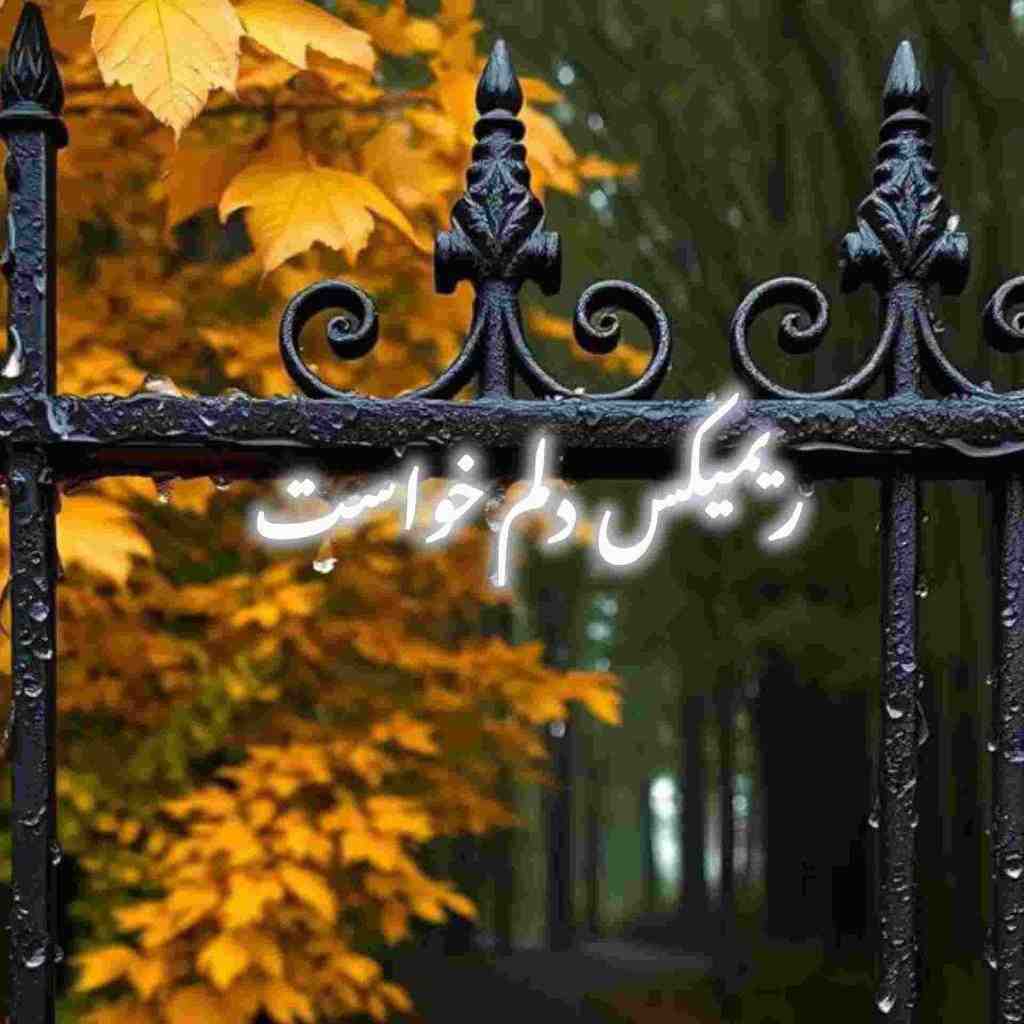 عرفان طهماسبی و سهراب پاکزاد و شادمهر عقیلی و منصور و هنگامه دلم خواست