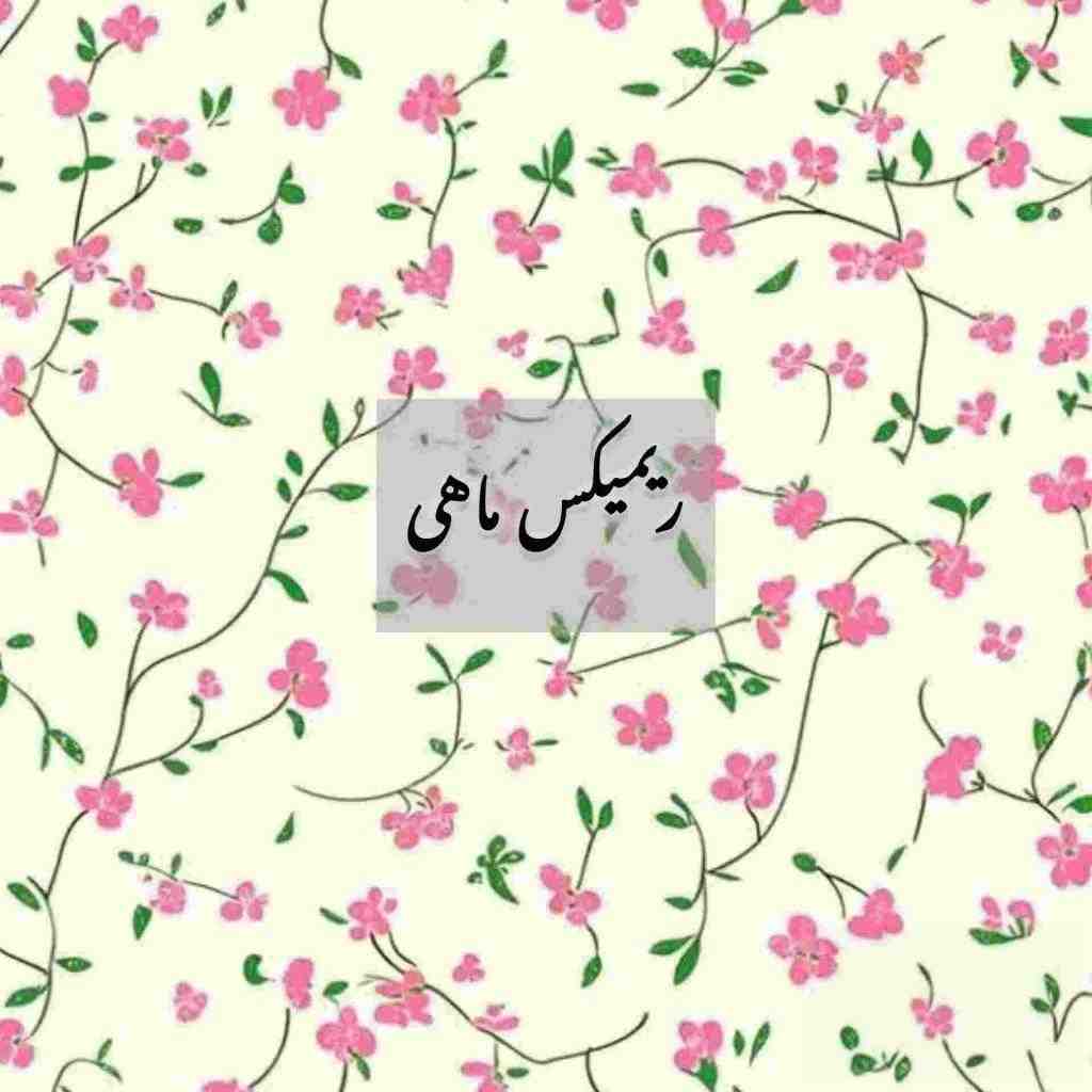 عرشیاس و نوان و شایان اشراقی و حامیم و ناصر زینعلی ماهی