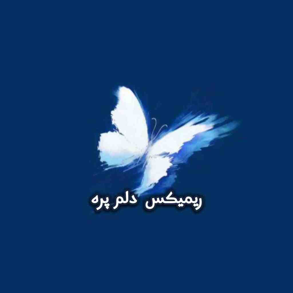 امین حبیبی و مهدیار و ایسین و تویس و پوتک دلم پره