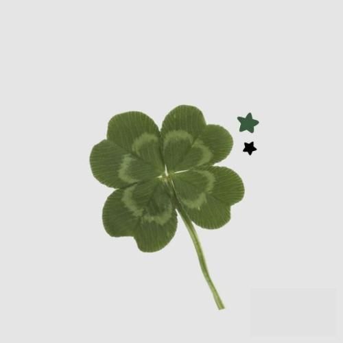 دلمو بچه شکستی پلنم الکله شب شه نشستیم