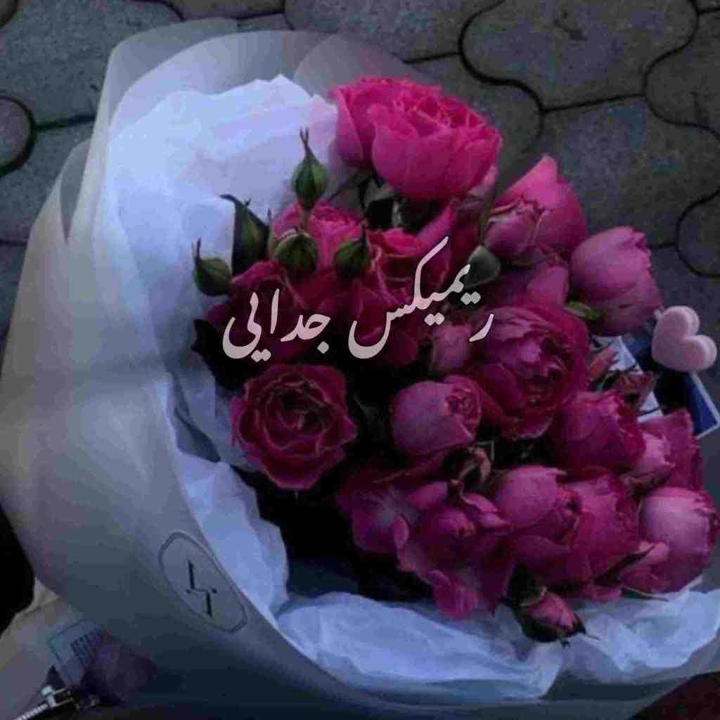 ابی و مهستی و حبیب و هایده و گوگوش جدایی