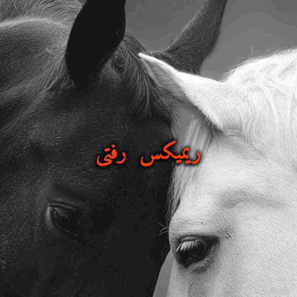 هودادکا و پوری و ویناک و عرشیاس و مهیار رفتی