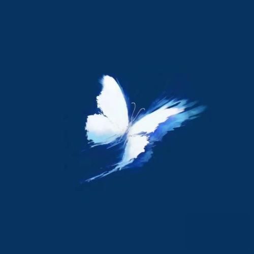 خدا بات حرف دارم قرصا تو دستامن