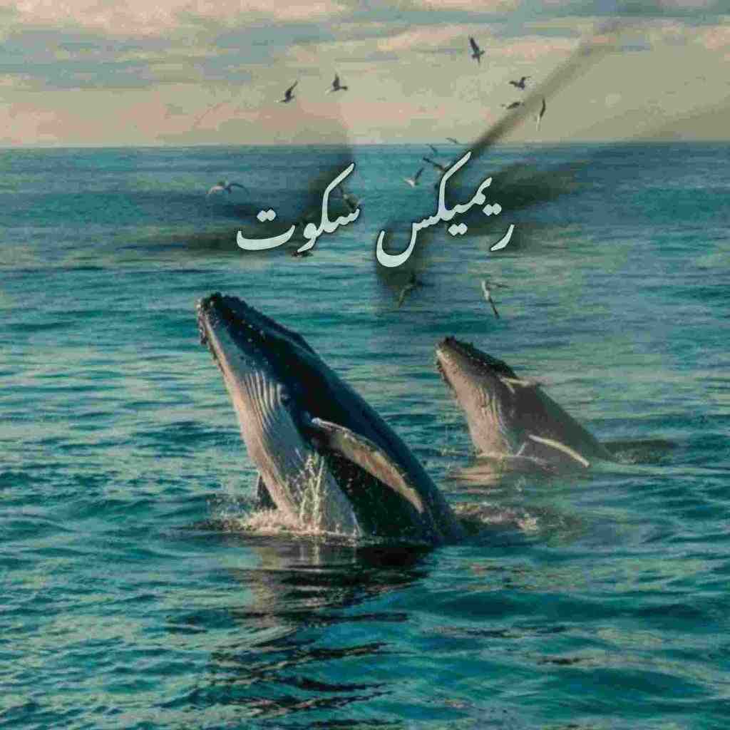 همایون شجریان و صادق و بهرام و سورنا و دانیال و امیر ریبار سکوت