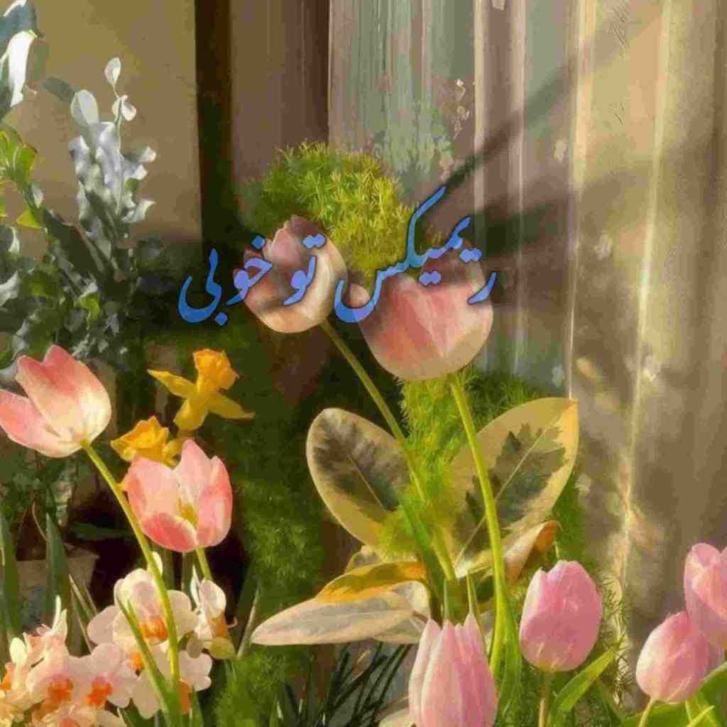 امیر تتلو و آرتا و شایع و رضا صادقی و هایده تو خوبی