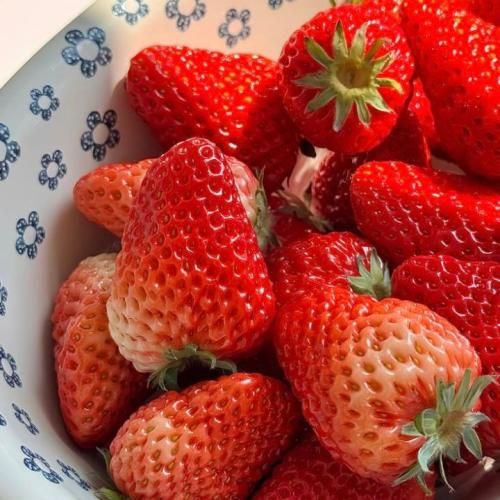 دانلود آهنگ گل زندگی زندگی کن نبینم تشنگی تو