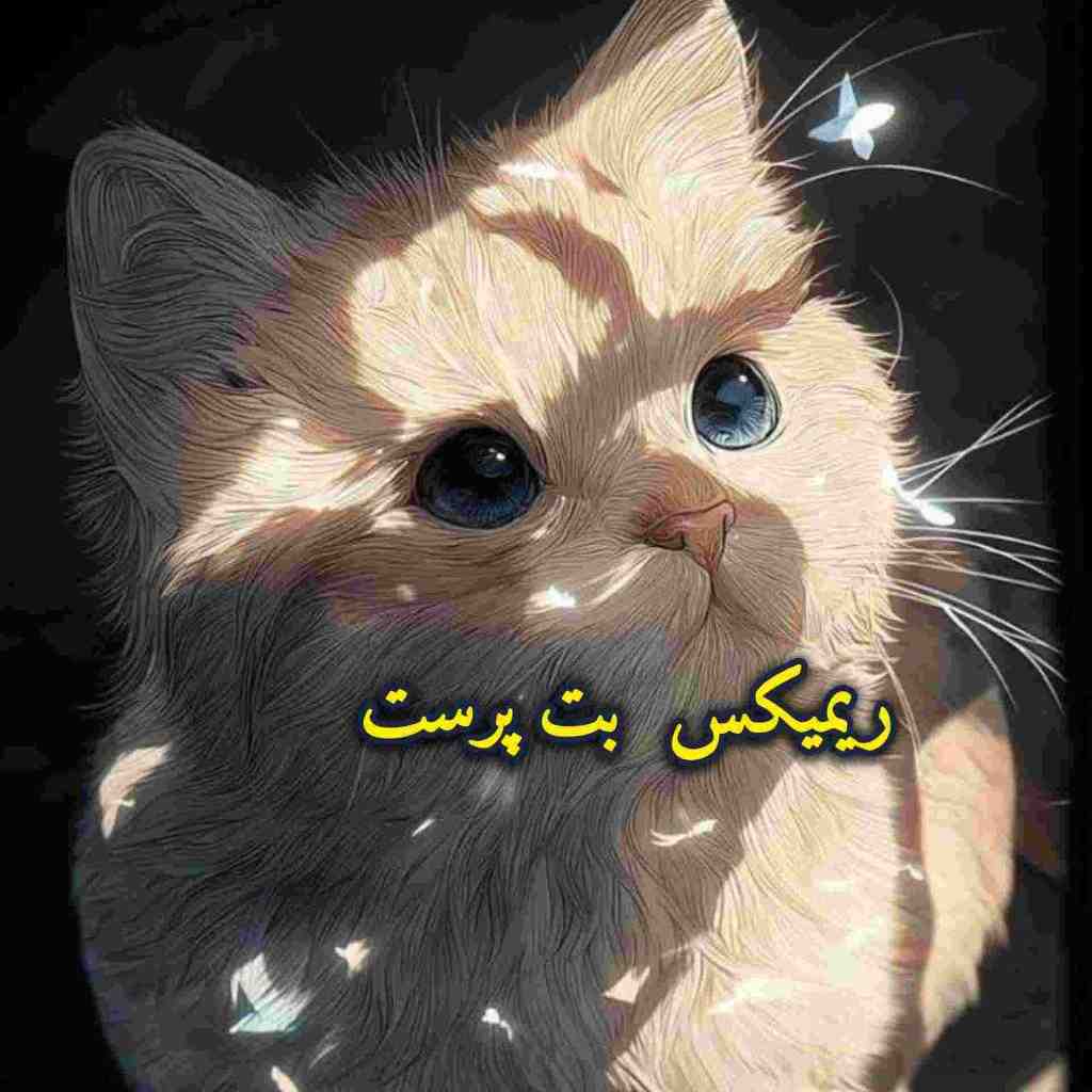 دانلود ریمیکس بت پرست از بکتاش و علی سورنا و تتلو و شایع و دانیال و یاس و بهرام